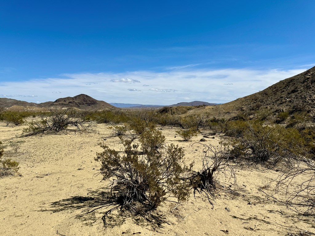 TR 1289 Private Rd, Terlingua, Texas image 10