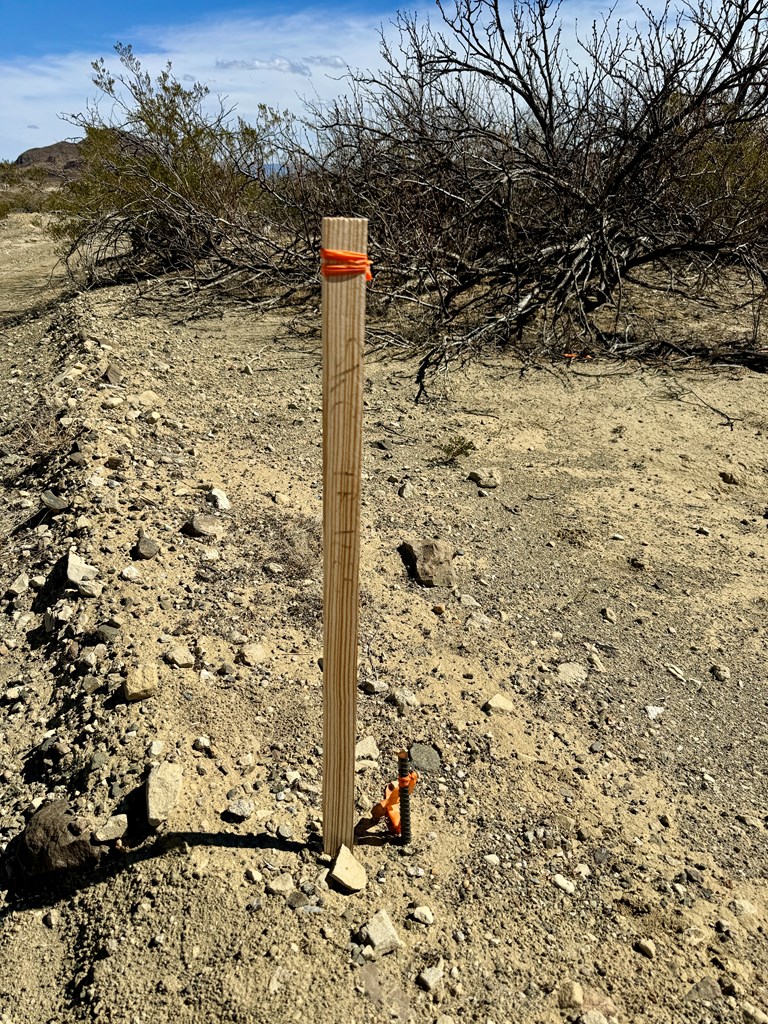 TR 1289 Private Rd, Terlingua, Texas image 16