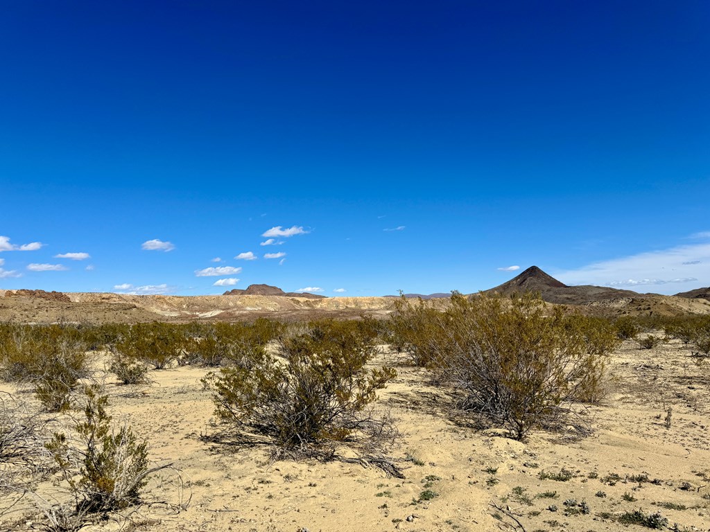 TR 1289 Private Rd, Terlingua, Texas image 6