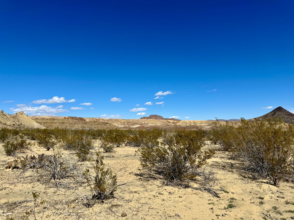 TR 1289 Private Rd, Terlingua, Texas image 7