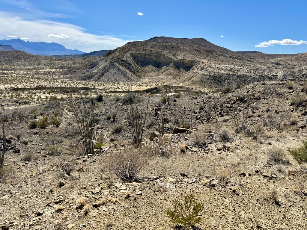 TR 1289 Private Rd, Terlingua, Texas image 18