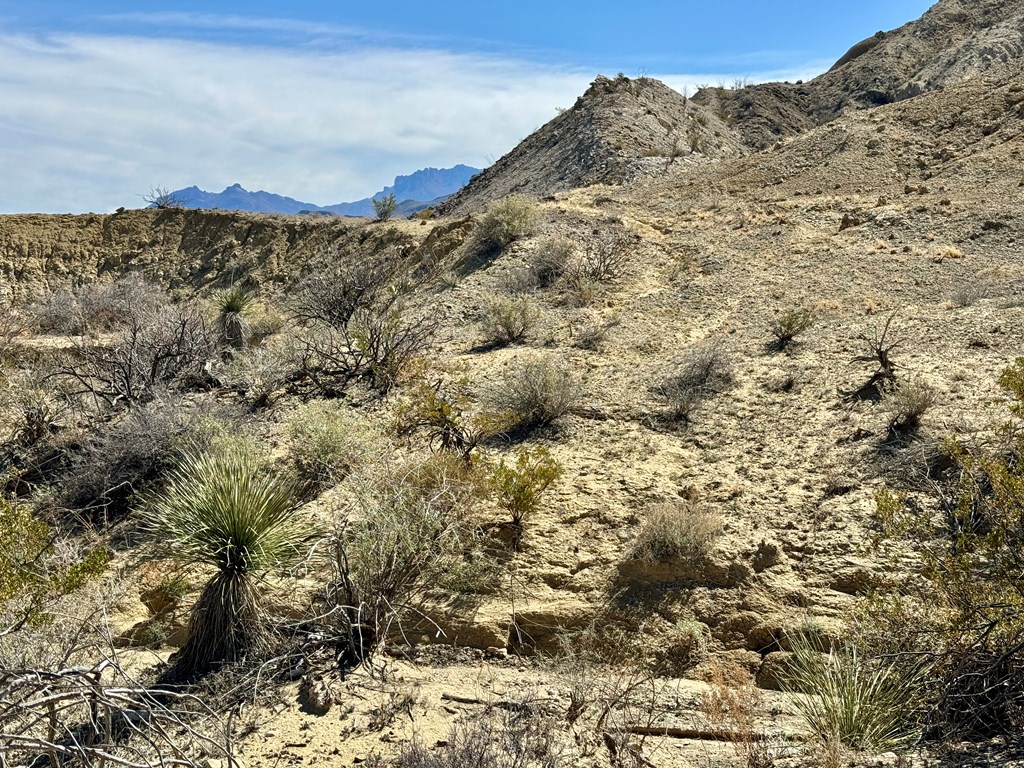 TR 1289 Private Rd, Terlingua, Texas image 9