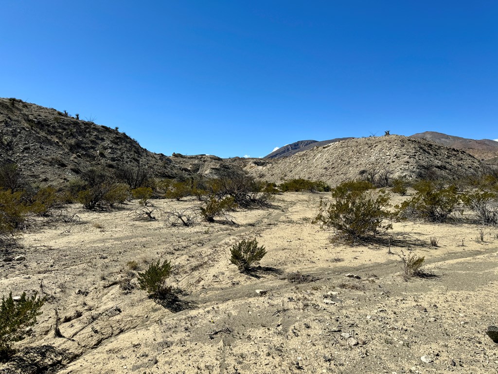 TR 1289 Private Rd, Terlingua, Texas image 14