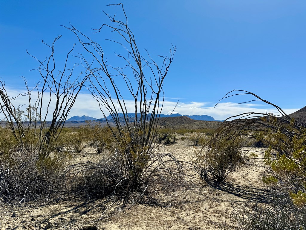 TR 1289 Private Rd, Terlingua, Texas image 8