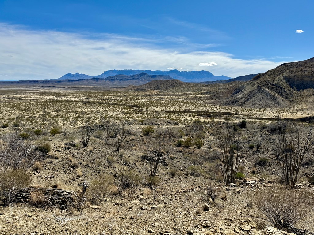 TR 1289 Private Rd, Terlingua, Texas image 17