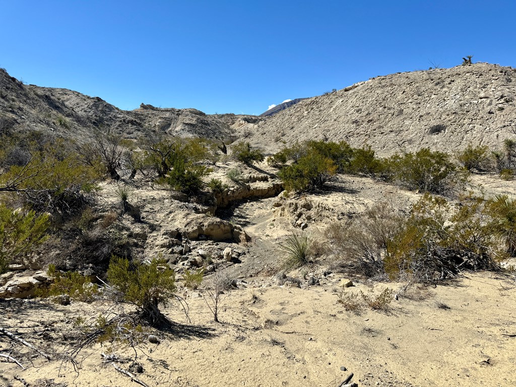 TR 1289 Private Rd, Terlingua, Texas image 13