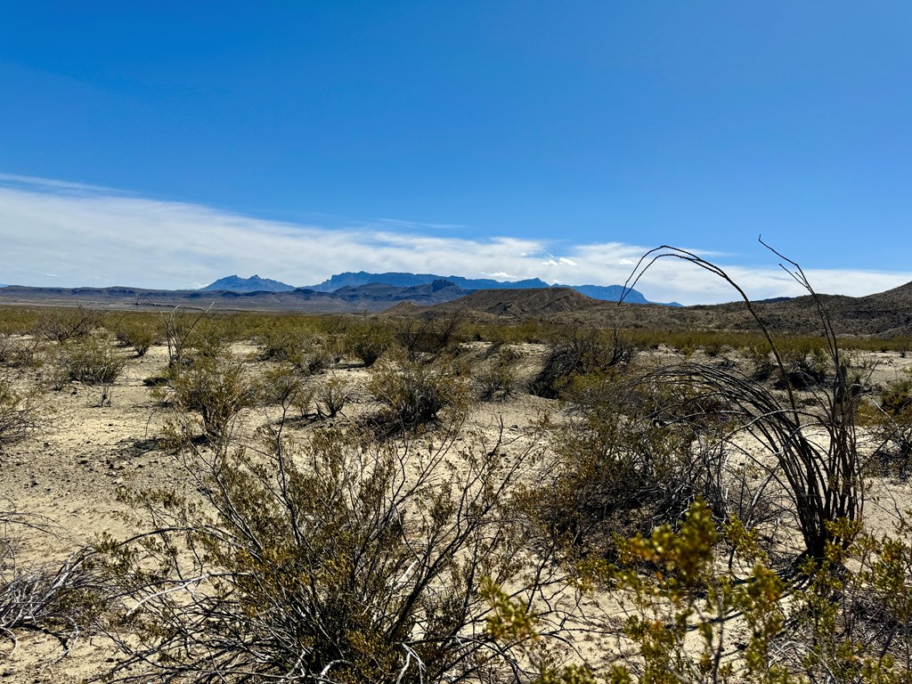 TR 1289 Private Rd, Terlingua, Texas image 4