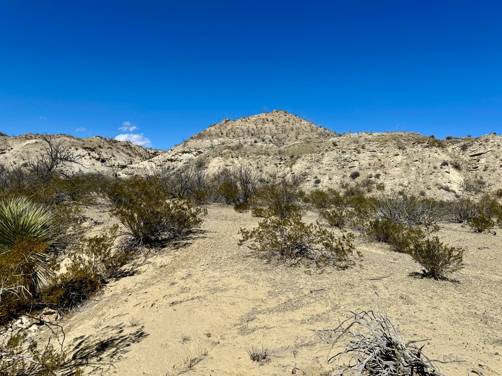 TR 1289 Private Rd, Terlingua, Texas image 12