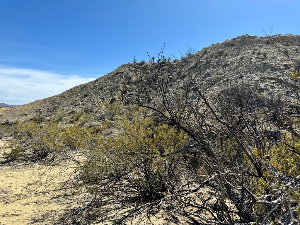 TR 1289 Private Rd, Terlingua, Texas image 11