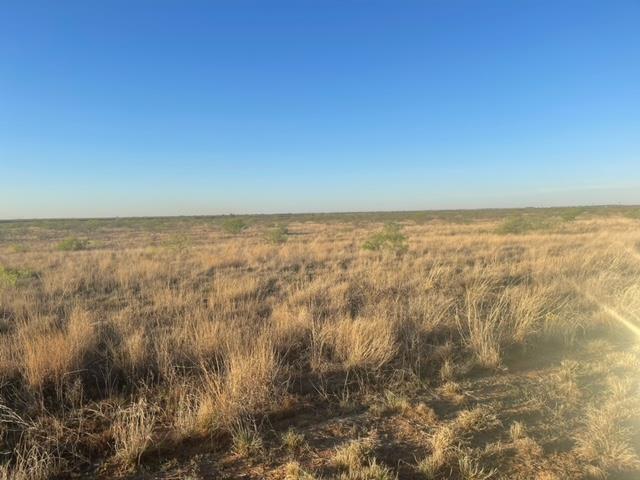 0000 N County Rd 1040, Midland, Texas image 4