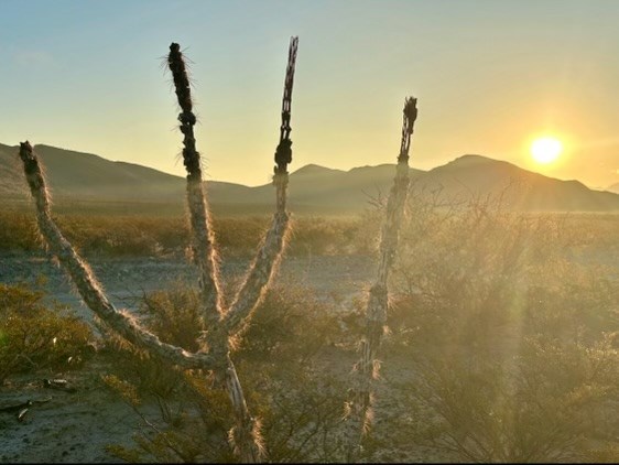 180 Indian Hot Springs Rd, Sierra Blanca, Texas image 9