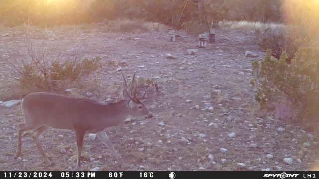 00 Brynner Rd, Comstock, Texas image 3