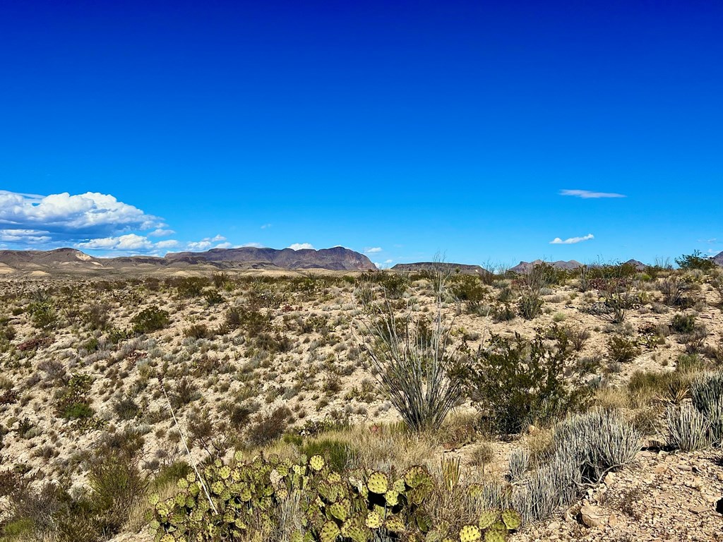 TR 2496 Yellow Hill Rd, Terlingua, Texas image 17