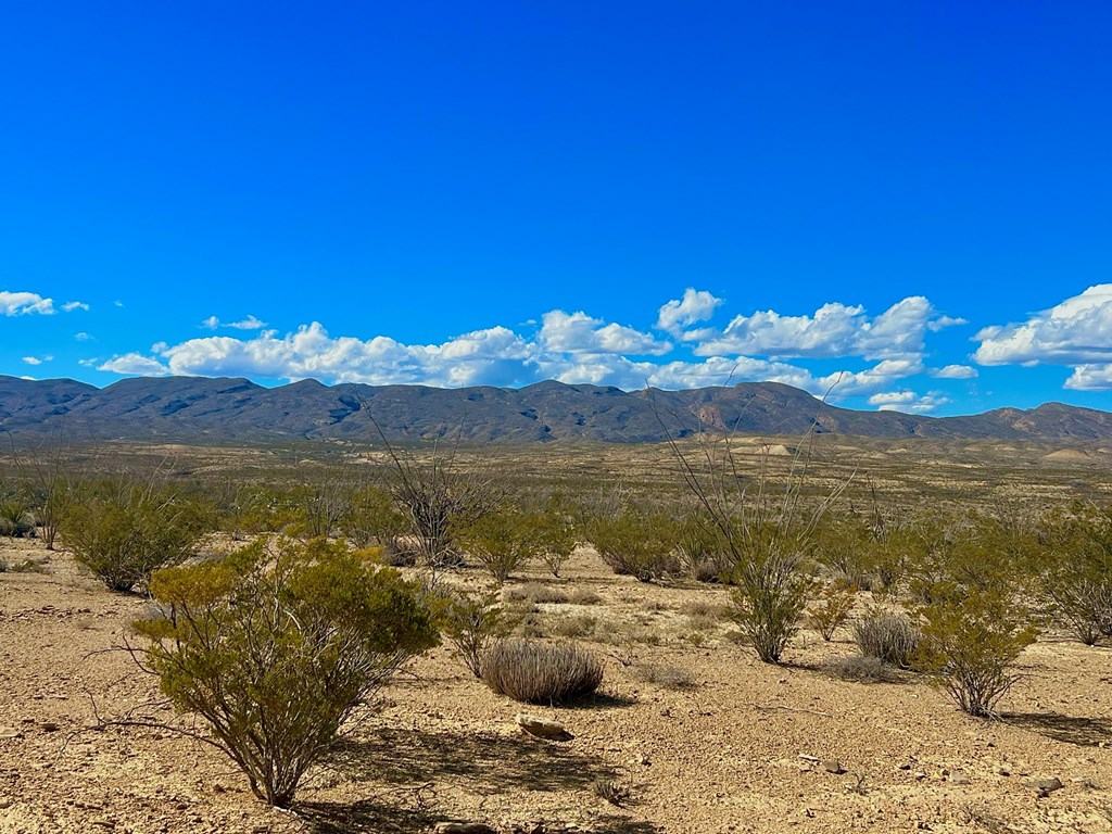 TR 2496 Yellow Hill Rd, Terlingua, Texas image 10