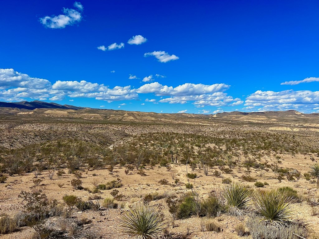 TR 2496 Yellow Hill Rd, Terlingua, Texas image 26