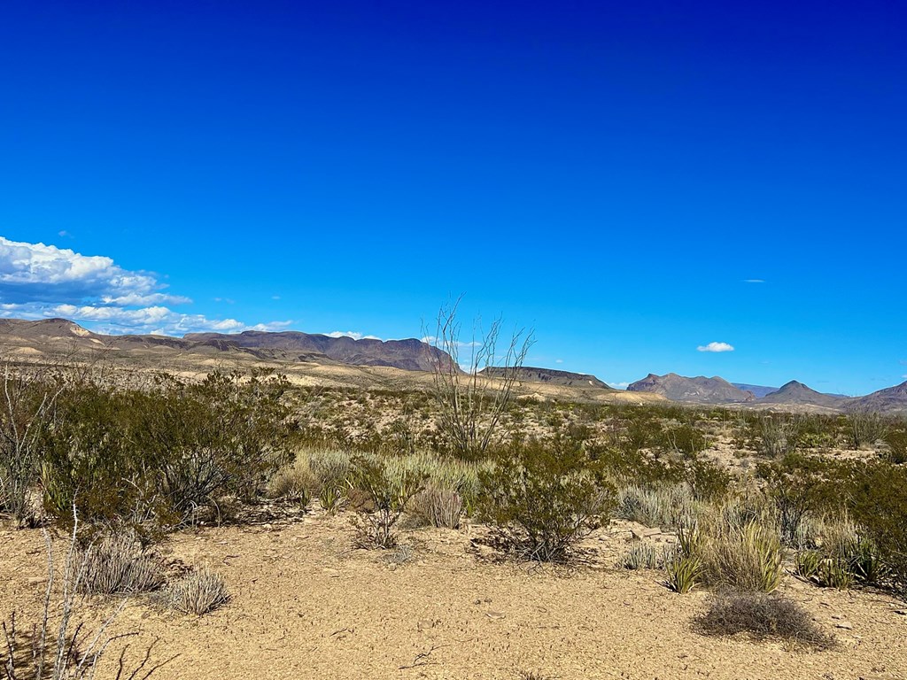 TR 2496 Yellow Hill Rd, Terlingua, Texas image 13