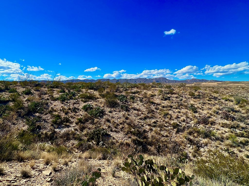 TR 2496 Yellow Hill Rd, Terlingua, Texas image 19