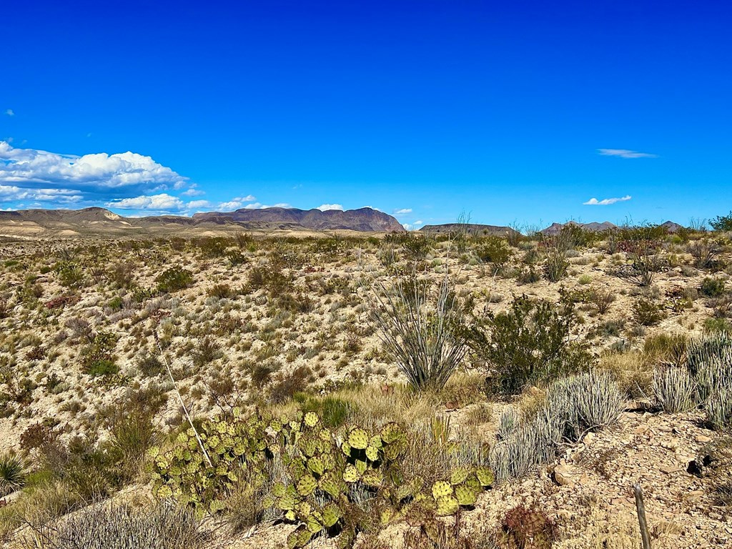 TR 2496 Yellow Hill Rd, Terlingua, Texas image 22