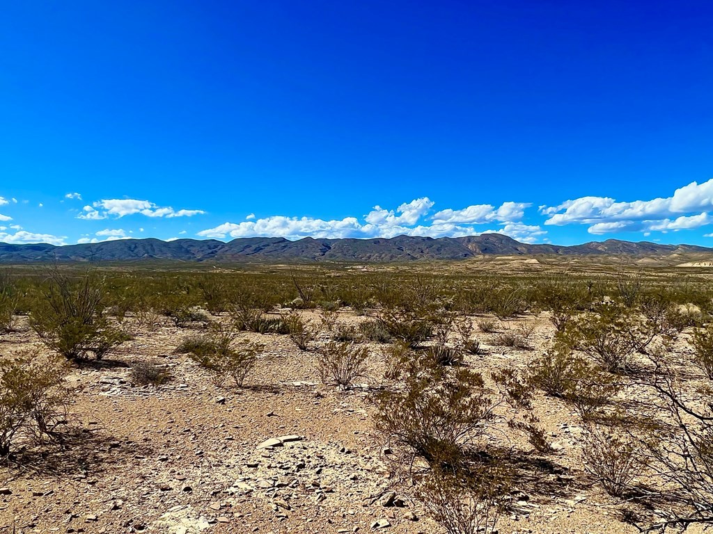 TR 2496 Yellow Hill Rd, Terlingua, Texas image 9