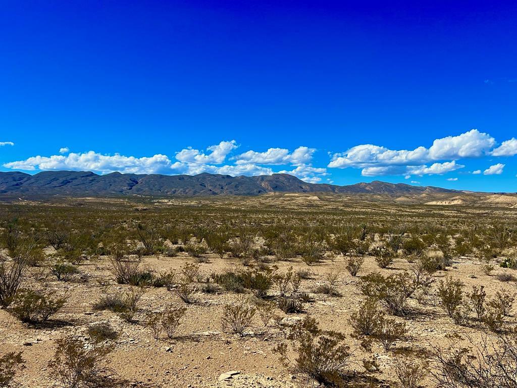 TR 2496 Yellow Hill Rd, Terlingua, Texas image 3