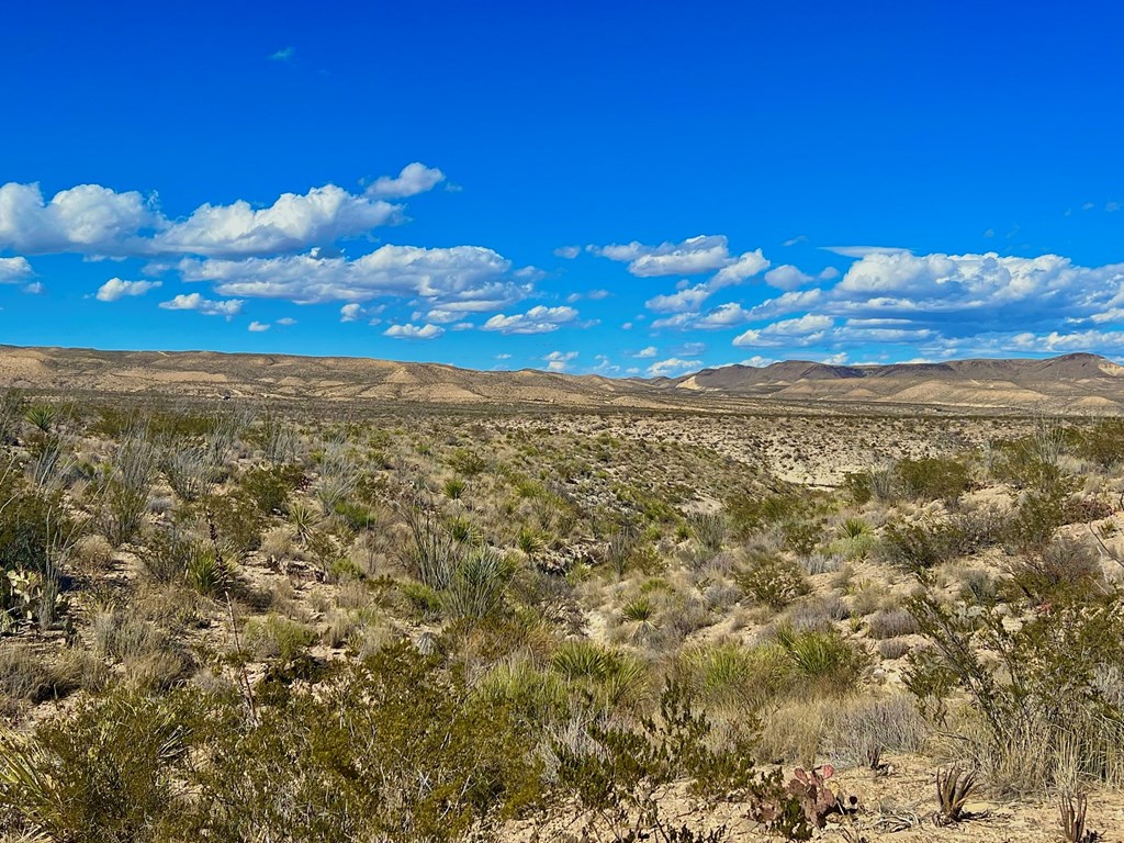 TR 2496 Yellow Hill Rd, Terlingua, Texas image 11