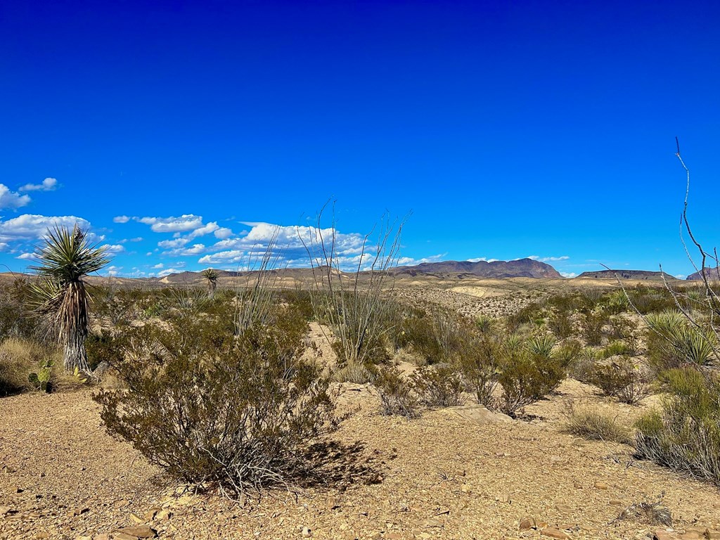 TR 2496 Yellow Hill Rd, Terlingua, Texas image 12