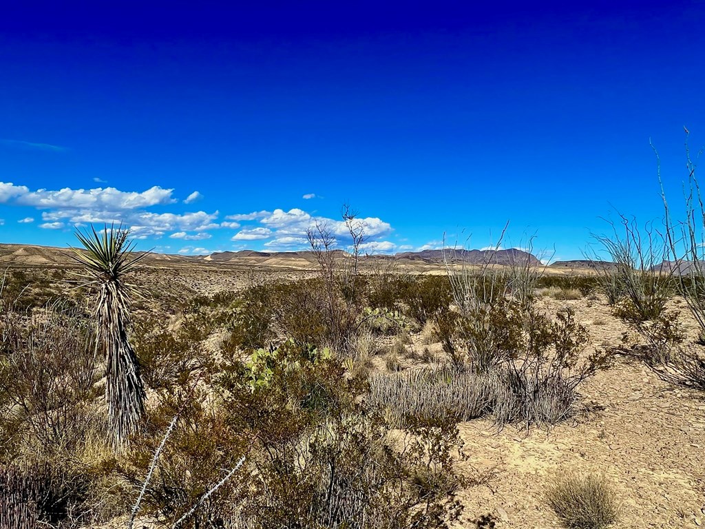 TR 2496 Yellow Hill Rd, Terlingua, Texas image 24