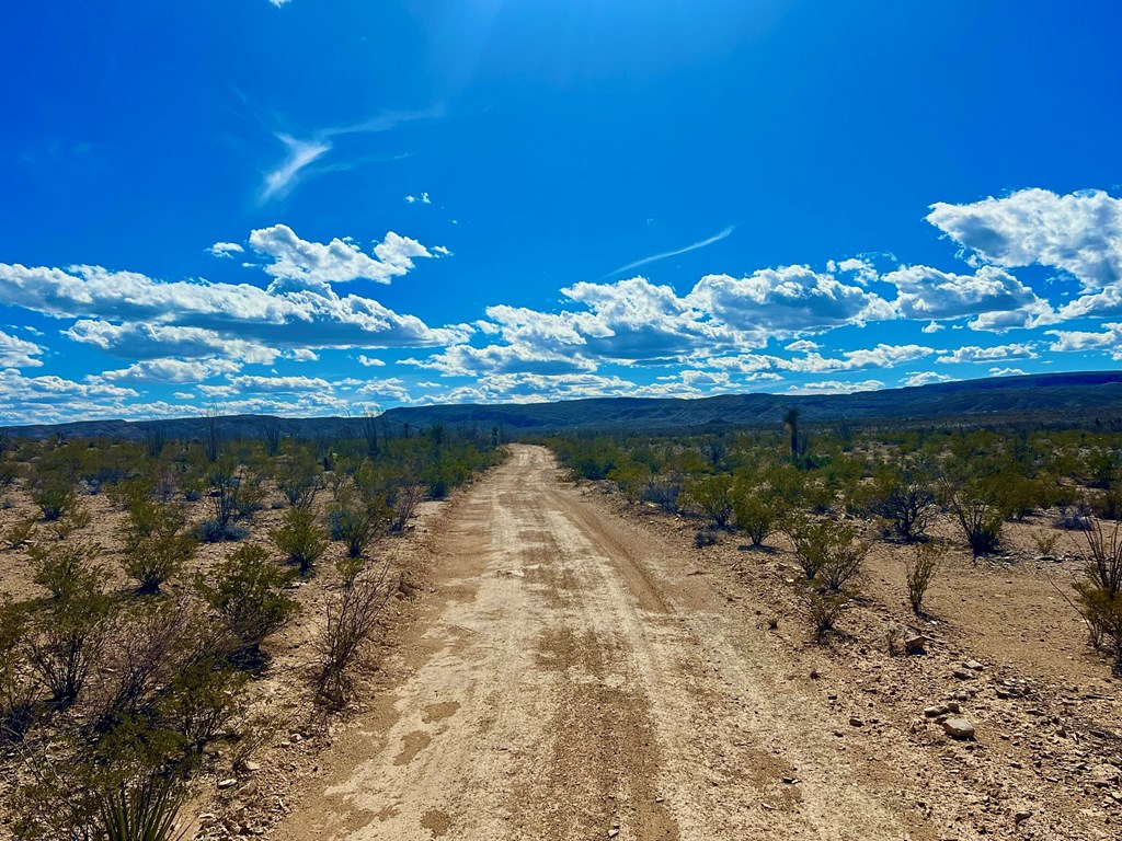 TR 2496 Yellow Hill Rd, Terlingua, Texas image 8