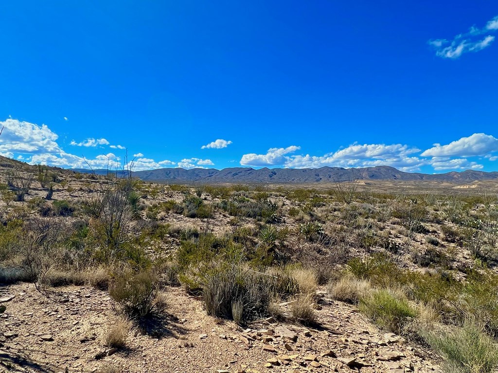 TR 2496 Yellow Hill Rd, Terlingua, Texas image 23