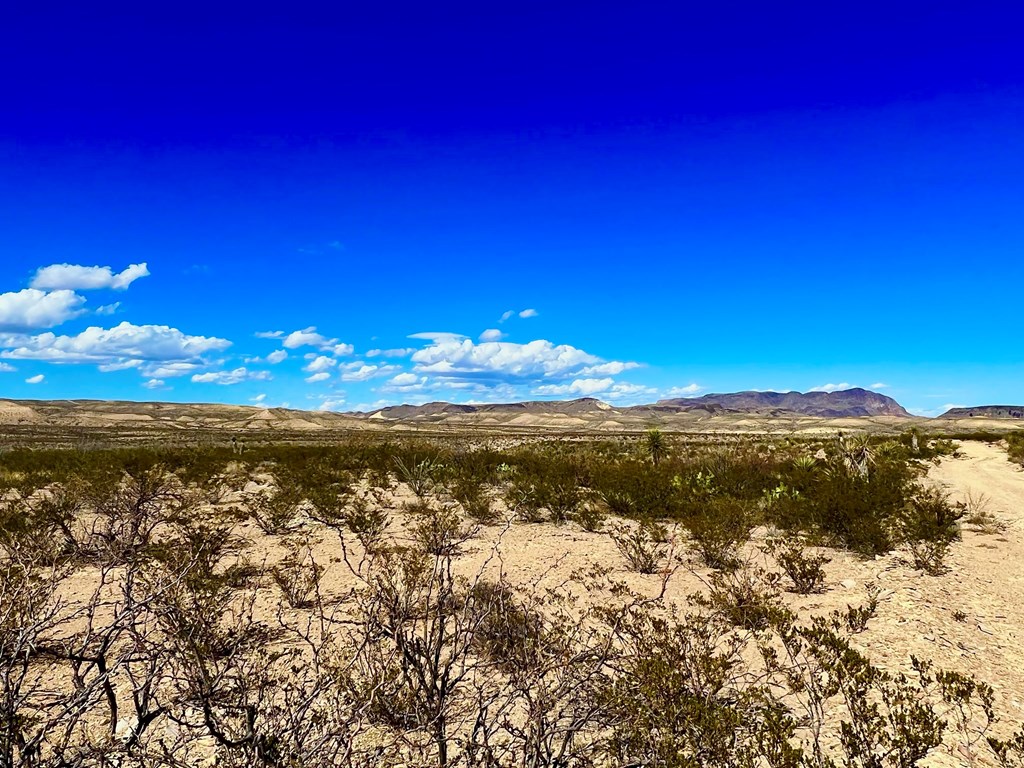 TR 2496 Yellow Hill Rd, Terlingua, Texas image 4