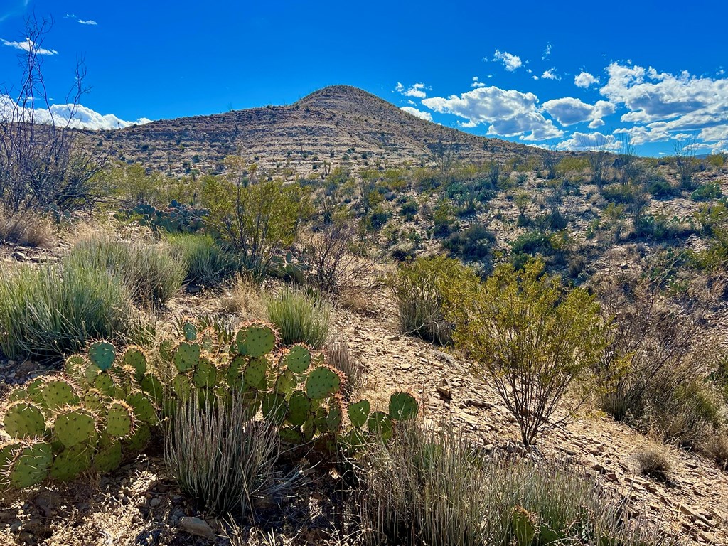 TR 2496 Yellow Hill Rd, Terlingua, Texas image 18