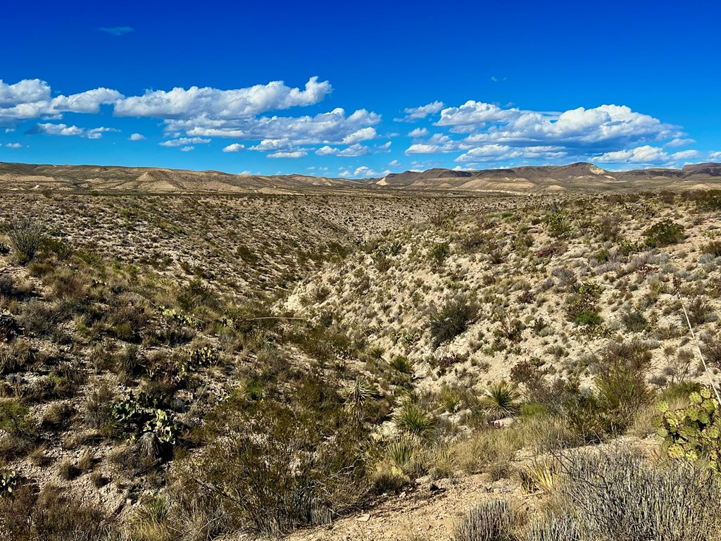 TR 2496 Yellow Hill Rd, Terlingua, Texas image 16