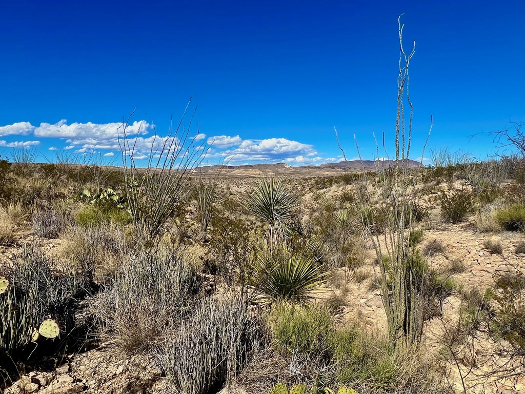 TR 2496 Yellow Hill Rd, Terlingua, Texas image 15