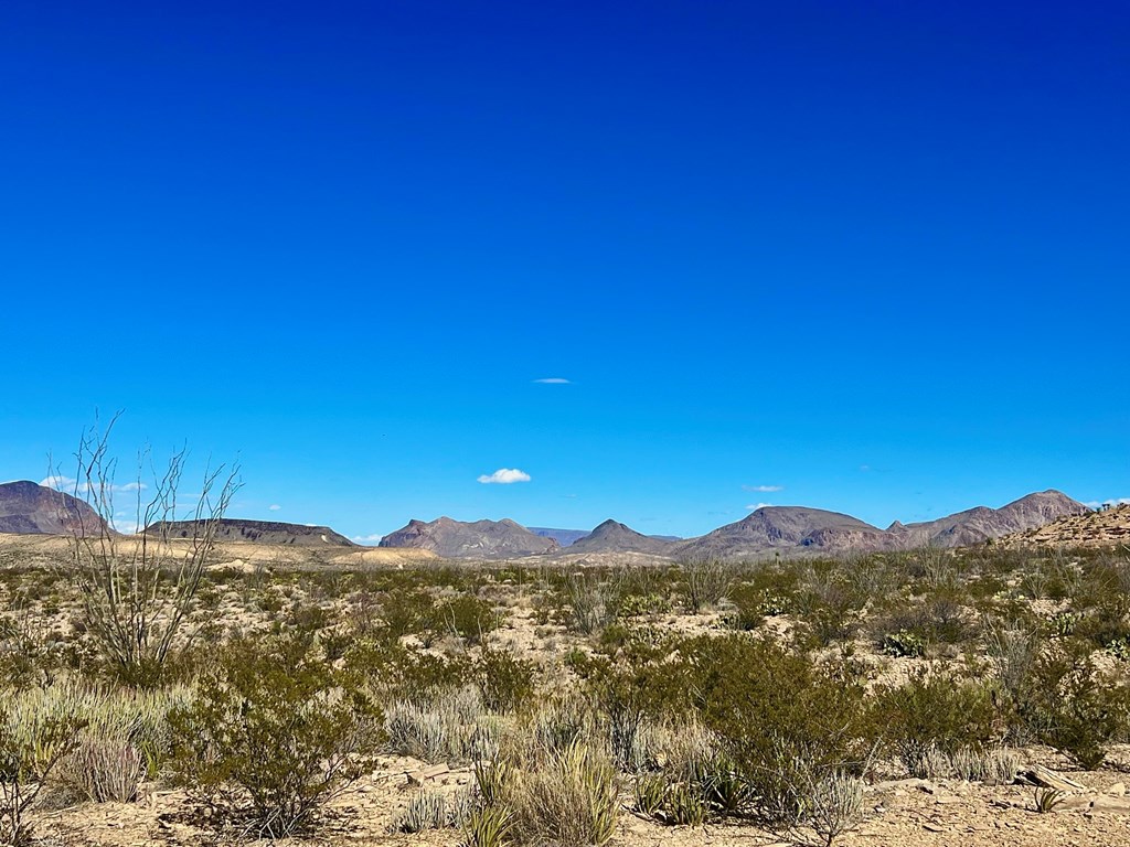 TR 2496 Yellow Hill Rd, Terlingua, Texas image 14