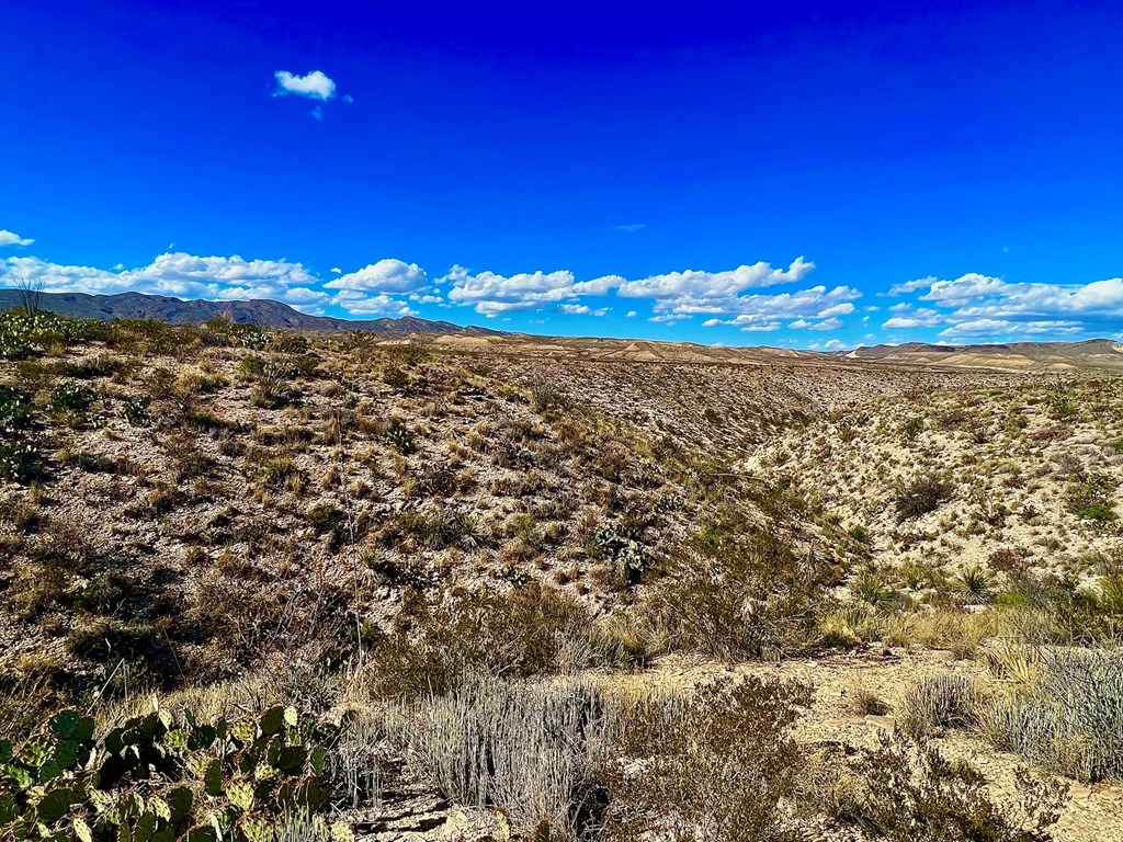 TR 2496 Yellow Hill Rd, Terlingua, Texas image 20