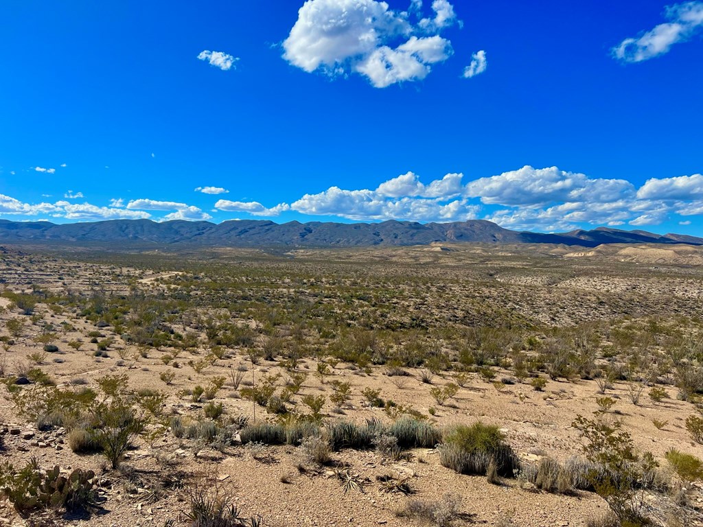 TR 2496 Yellow Hill Rd, Terlingua, Texas image 25