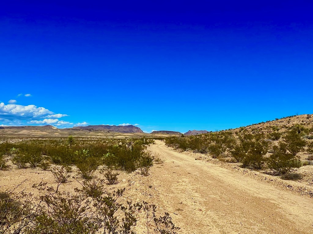 TR 2496 Yellow Hill Rd, Terlingua, Texas image 5