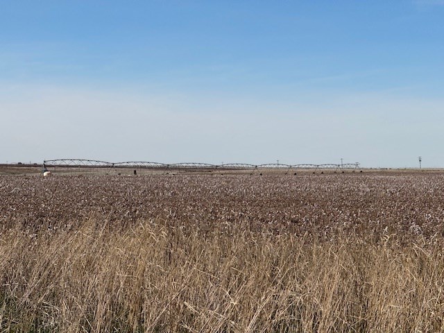 #000 County Rd 151, Loop, Texas image 11