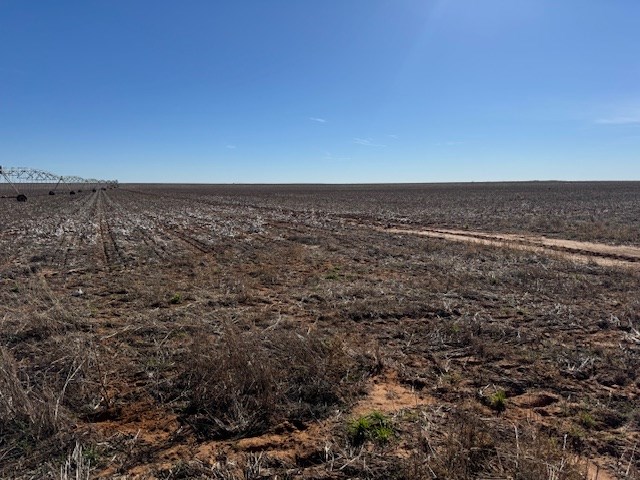 #000 County Rd 151, Loop, Texas image 20