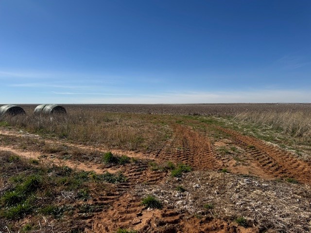 #000 County Rd 151, Loop, Texas image 12