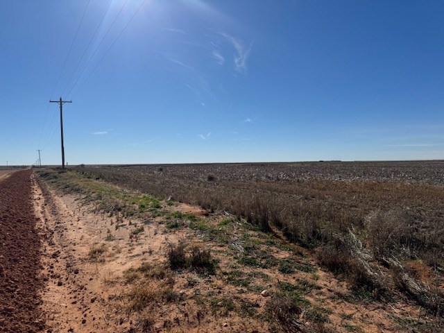 #000 County Rd 151, Loop, Texas image 8