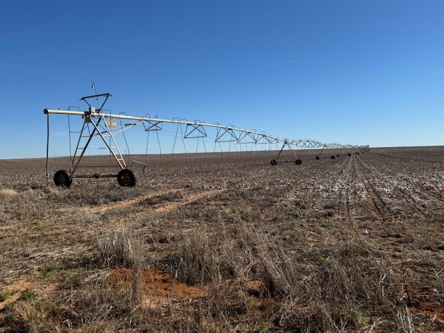 #000 County Rd 151, Loop, Texas image 15