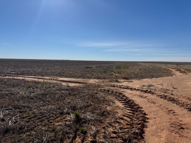 #000 County Rd 151, Loop, Texas image 21