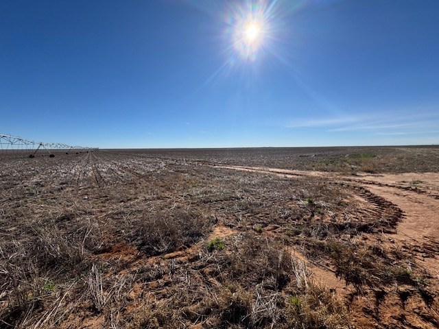 #000 County Rd 151, Loop, Texas image 19