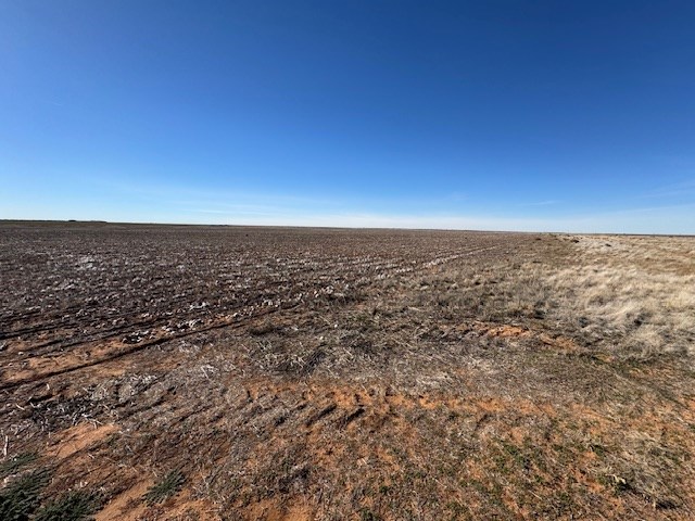 #000 County Rd 151, Loop, Texas image 10