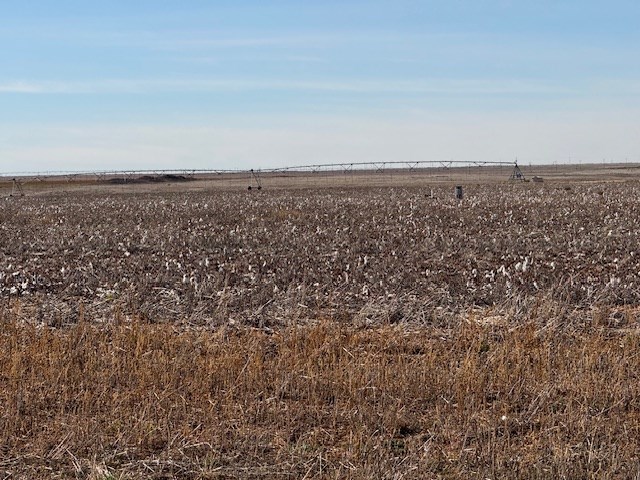 #000 County Rd 151, Loop, Texas image 7