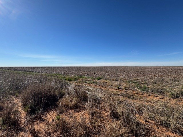 #000 County Rd 151, Loop, Texas image 18