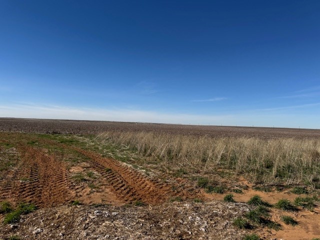 #000 County Rd 151, Loop, Texas image 13