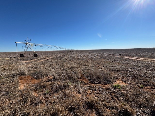 #000 County Rd 151, Loop, Texas image 16