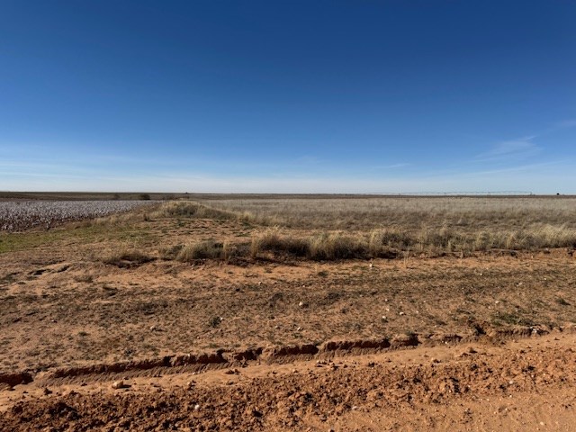 #000 County Rd 151, Loop, Texas image 6